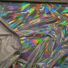 Hologram Kaplama Dokuma Kumaş | R4-2