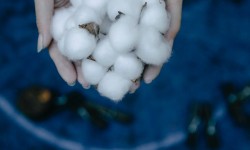 Pamuklu Kumaşlar ve Bambu Kumaşlar