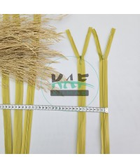 Gizli Fermuar | Uzunluk: 25 cm | Yağ Yeşili