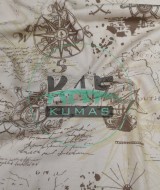 Baskılı %100 Pamuk İnterlok Kumaş | Penye Harita Desen