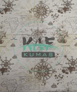 Baskılı %100 Pamuk İnterlok Kumaş | Penye Harita Desen