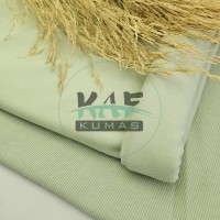 Penye 75% Pamuk 25% Polyester 5% Elastan İki İplik Kumaş | Mint Yeşili Penye 75% Pamuk 25% Polyester 5% Elastan İki İplik Kumaş | Mint Yeşili